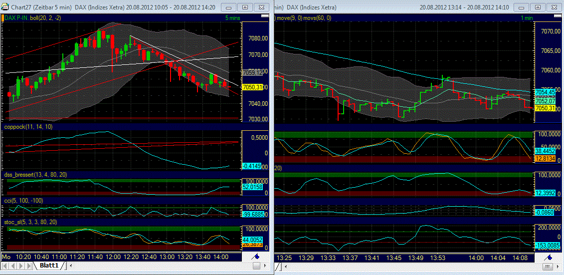 Elliott Wave DAX daily 530906