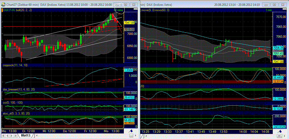 Elliott Wave DAX daily 530908