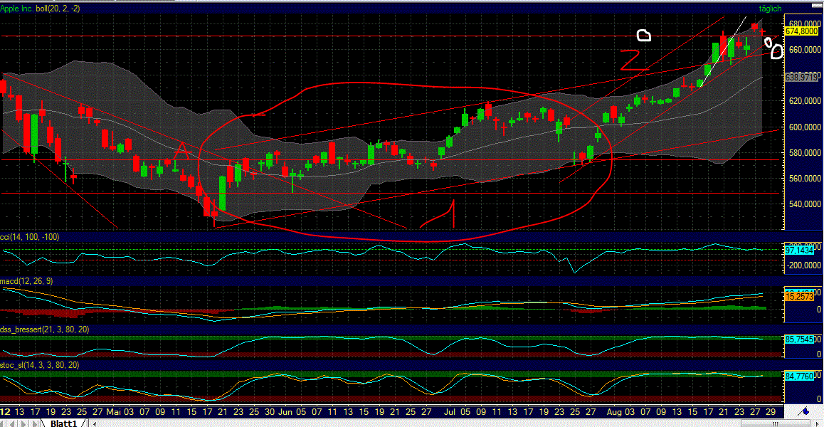 Indexhandel 2012 Rally trotz unzähligen Krisen? 532943