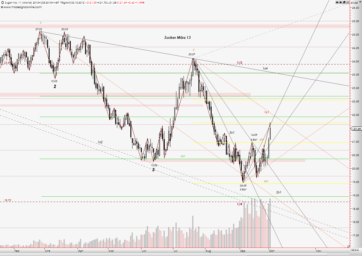Die Zuckerhausse kommt 541699