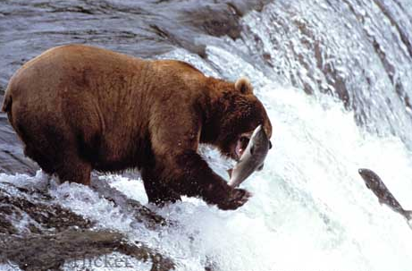 Wer traut sich Volkswagen zu kaufen? 550284