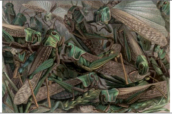 Antizykliker-Thread - v2.0 555786