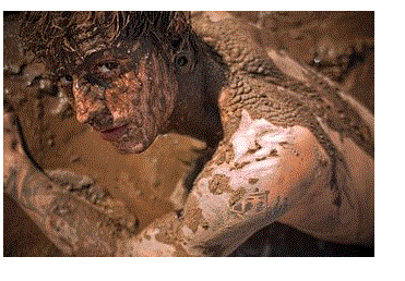 QV ultimate (unlimited) 567639