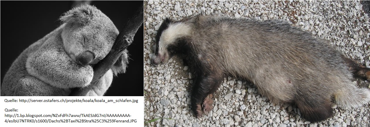 QV ultimate (unlimited) 572211