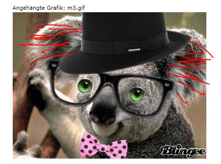 Quo Vadis Dax 2013 - Up, dank Liquidität 577603