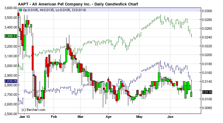 All American Pet Co Inc 500% ? 618789