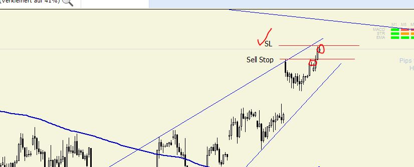 Quo Vadis Dax 2013 - Up, dank Liquidität 623452