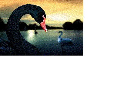 E.on SE - Chance oder Risiko 628798