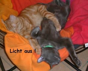 Healthsonix Inc. DL-,001 62955