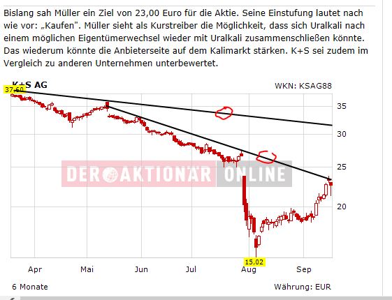 Quo Vadis Dax 2013 - Up, dank Liquidität 645582