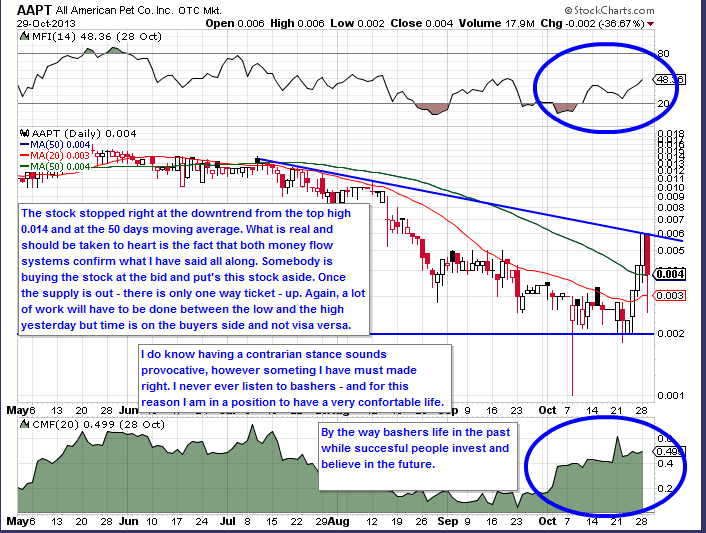 All American Pet Co Inc 500% ? 659012