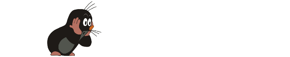 14 Gründe für ein Investment in BVB. 668341