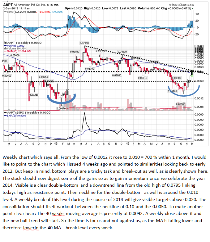 All American Pet Co Inc 500% ? 670087