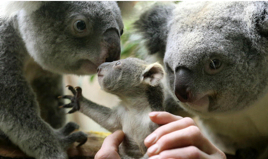 QuoVadisDax - das Original - Nachfolgethread 685183