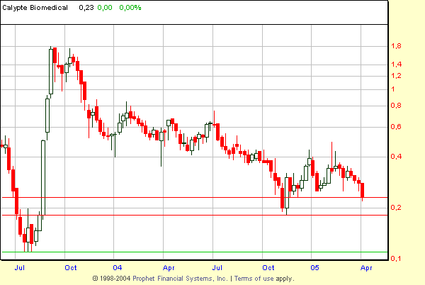 Calypte und die Zeit nach AIDS2004 in Bangkok 6879