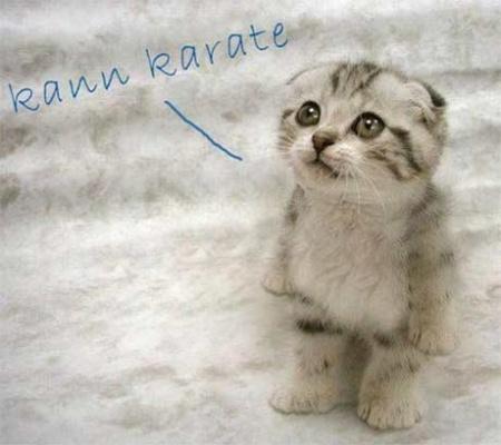 Thompson Creek Metals 77269