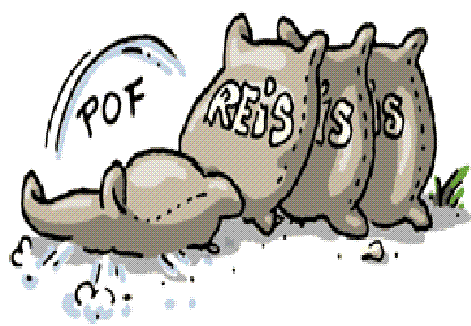 ++ Borussia Dortmund steigt ab ! 801899