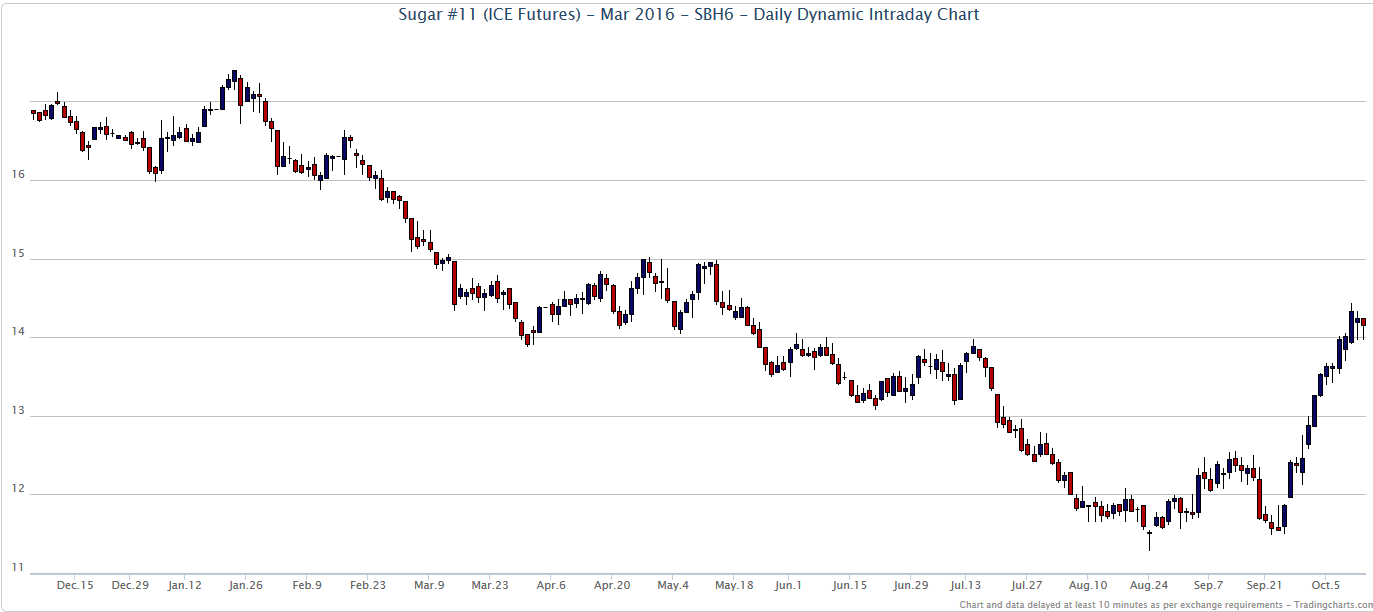 Die Zuckerhausse kommt 864419