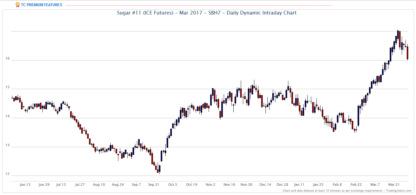 Die Zuckerhausse kommt 904447