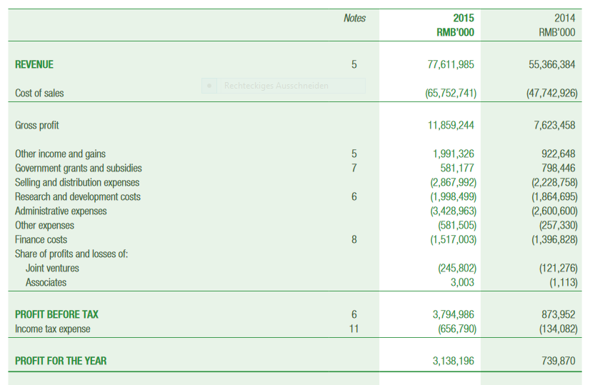 Auto- und Batterien-Herstellers BYD 905273