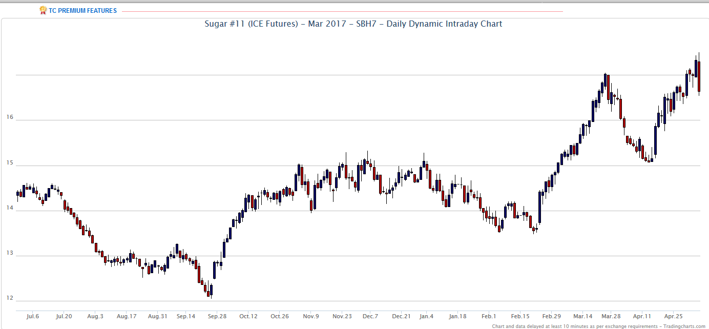 Die Zuckerhausse kommt 912149