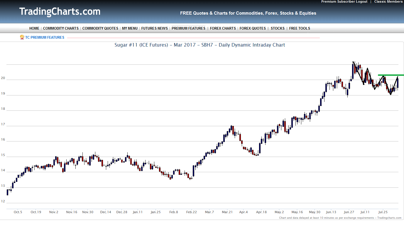 Die Zuckerhausse kommt 931157
