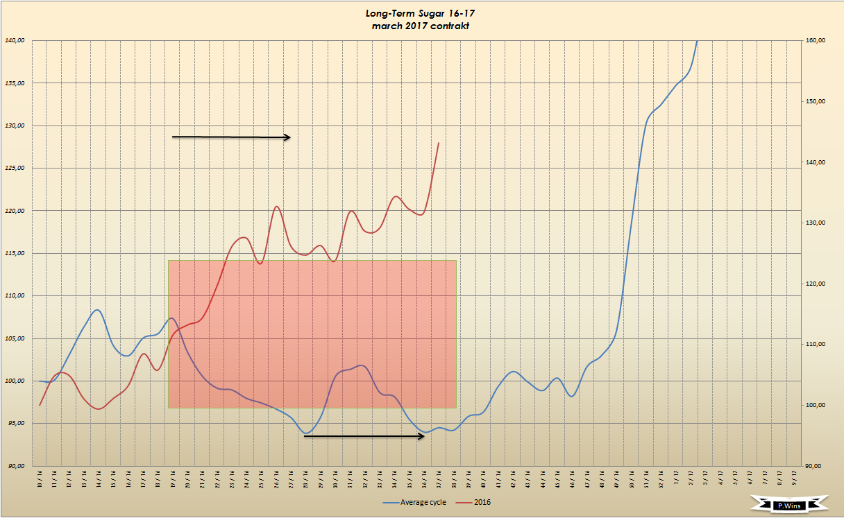 Die Zuckerhausse kommt 939945