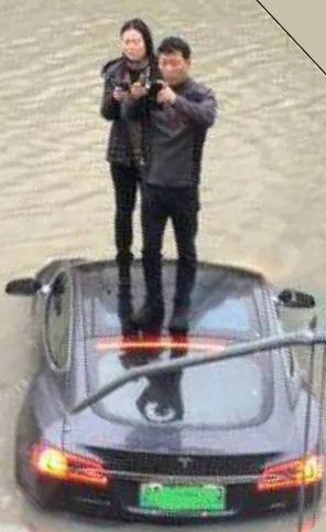 Tesla Motor Inc. - Flop oder Top? 1101109