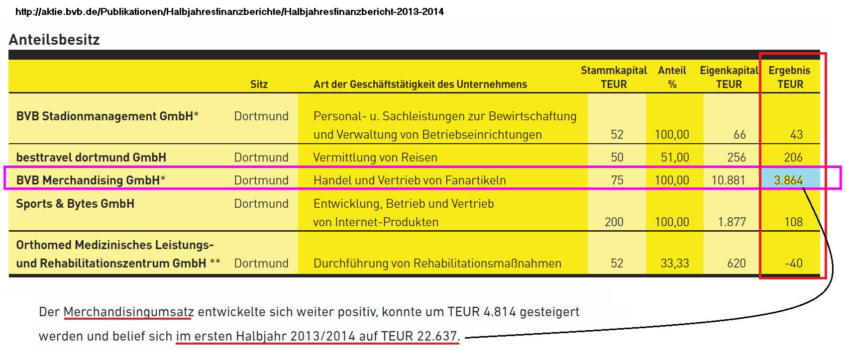14 Gründe für ein Investment in BVB. 753313