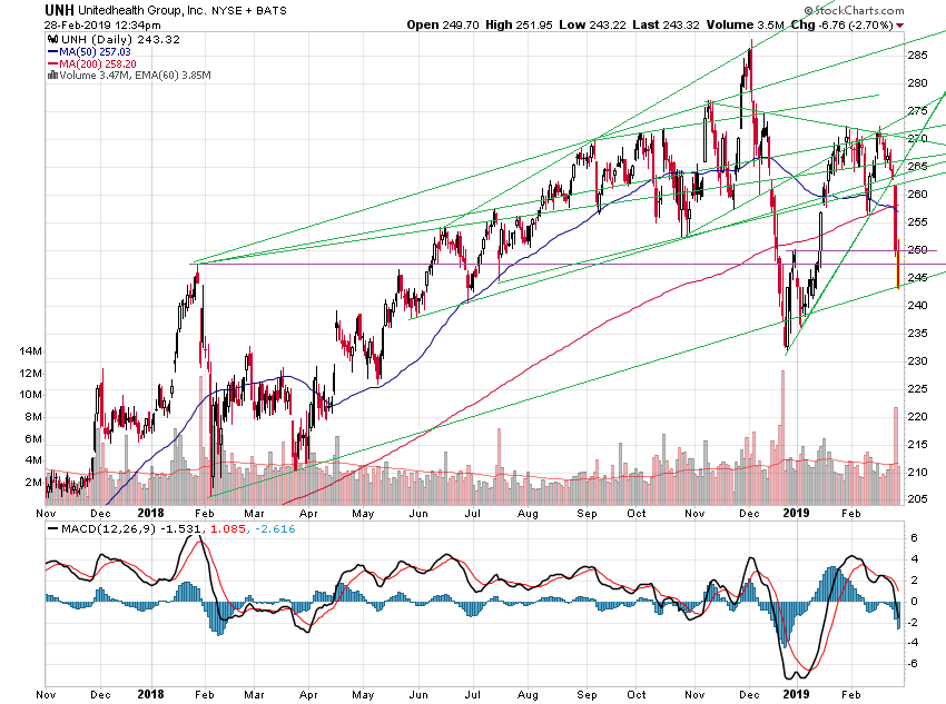 Der USA Bären-Thread 1099350