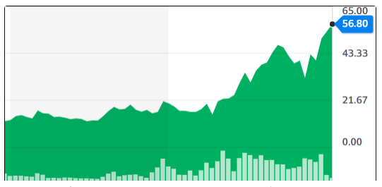 AT&S - Wachstumsweg zu 80 Euro 1189157