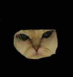 Coop SK Tippspiel (ehem. WMIH) 609025