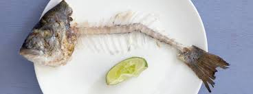 Dividendenrendite und Tech-Gegegengewicht 1102896