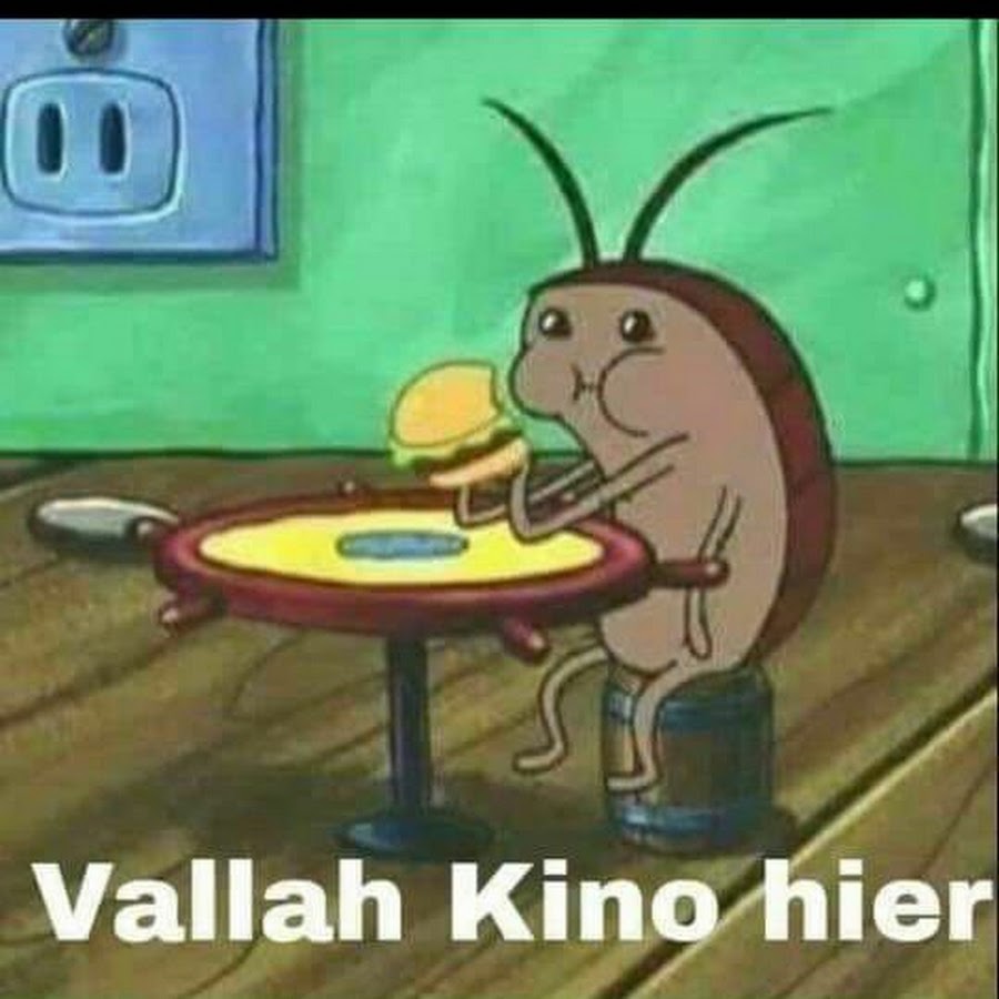 Steinhoff International Holdings N.V. 1129376