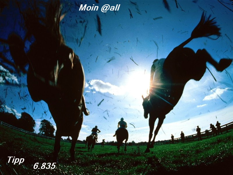 808.DAX Tipp-Spiel, Dienstag, 17.06.08, 17:45 Uhr 169360