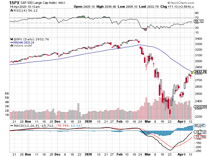 Der USA Bären-Thread 1172398