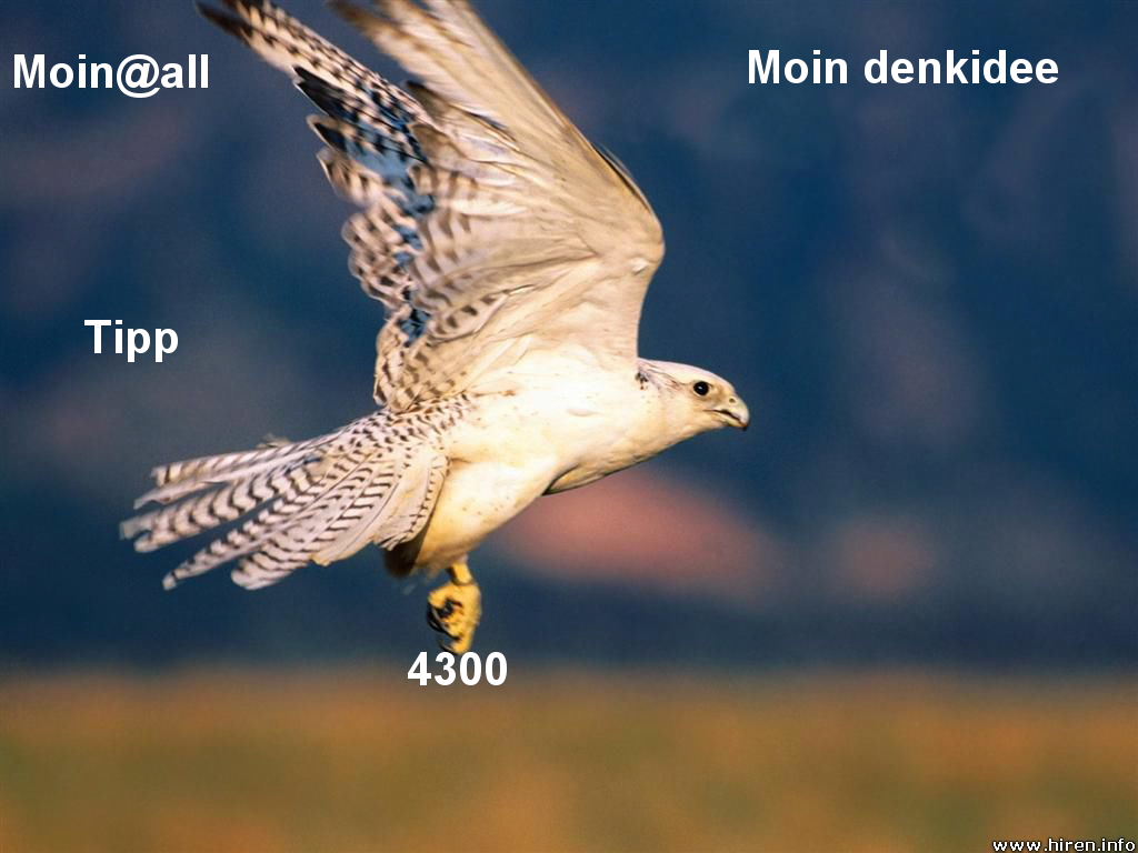 963.DAX Tipp-Spiel,Dienstag,27.01.09, 17.45 Uhr 212791