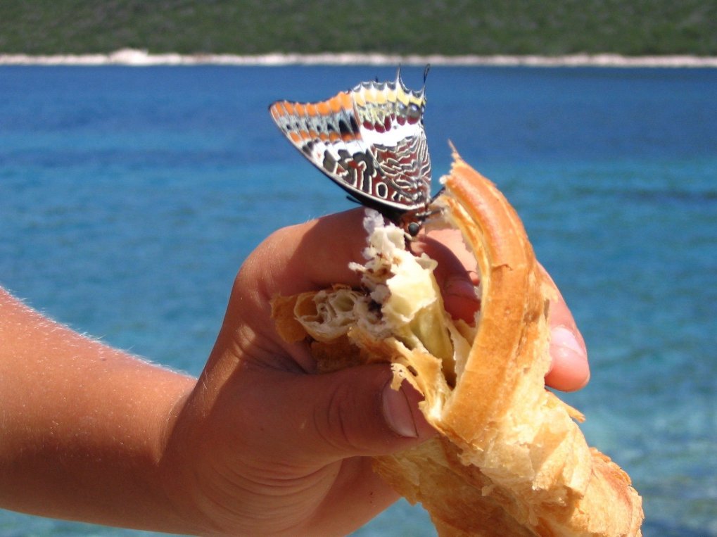 431.DAX Tipp-Spiel, Freitag, 15.12.06 72273