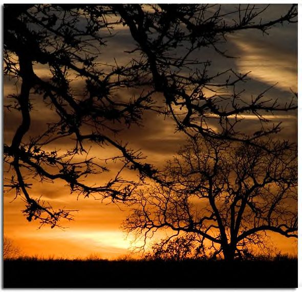 428.DAX Tipp-Spiel, Dienstag, 12.12.06 71312