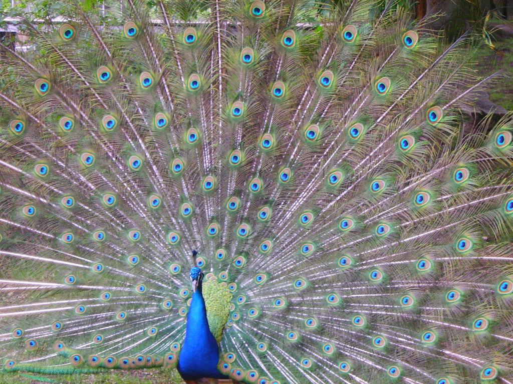 613.DAX Tipp-Spiel, Donnerstag, 06.09.07 118945