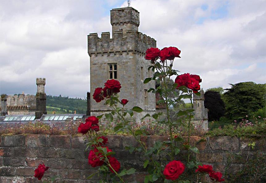 599.DAX Tipp-Spiel, Freitag, 17.08.07 115485