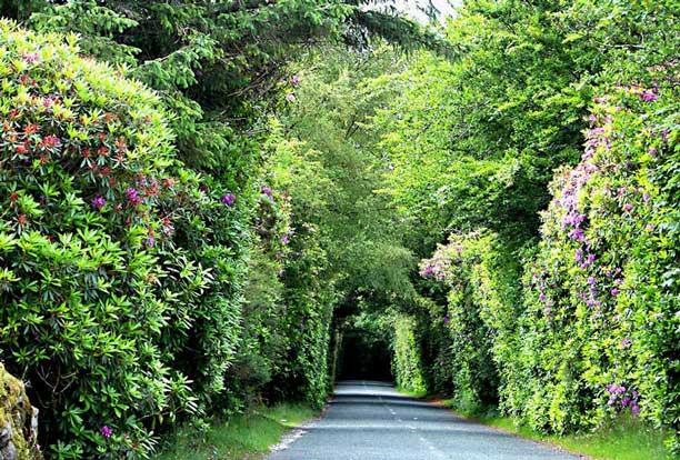 600.DAX Tipp-Spiel, Montag, 20.08.07 115751