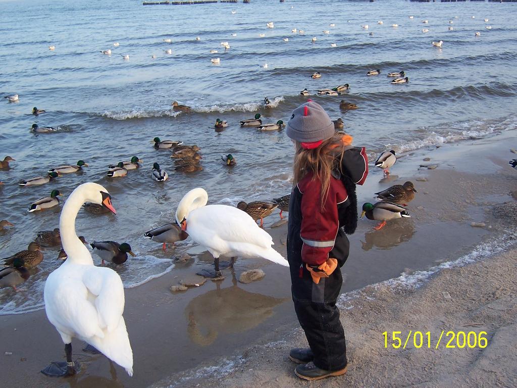 618.DAX Tipp-Spiel, Donnerstag, 13.09.07 120138