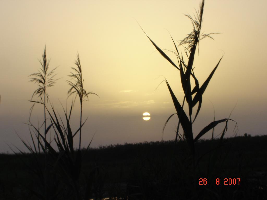 615.DAX Tipp-Spiel, Montag,10.09.07 119475