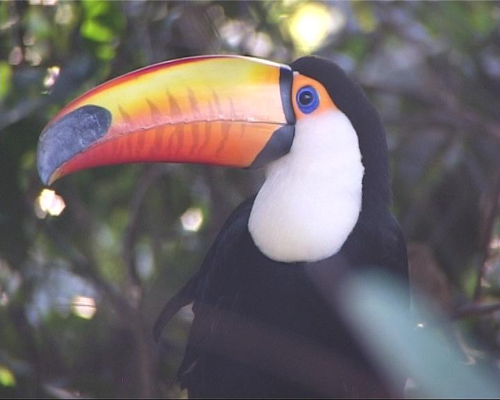 414.DAX Tipp-Spiel, Mittwoch, 22.11.06 68141