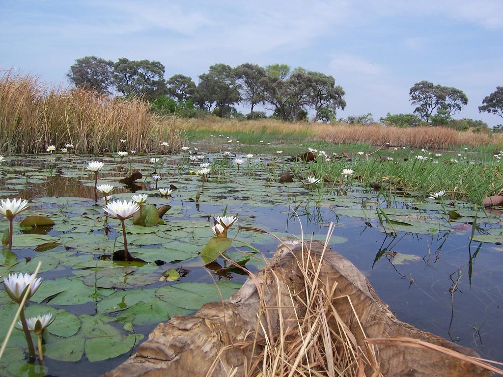 608.DAX Tipp-Spiel, Donnerstag, 30.08.07 117597