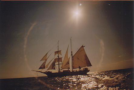 625.DAX Tipp-Spiel, Montag, 24.09.07 121719