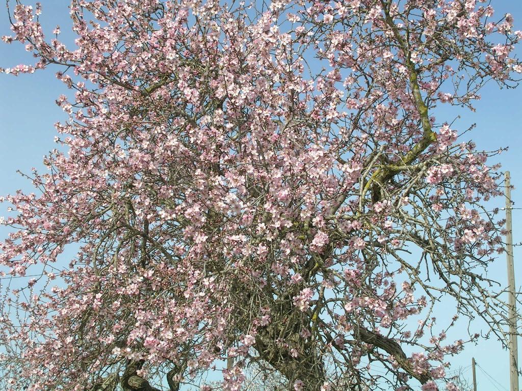 494.DAX Tipp-Spiel, Montag, 19.03.07 88379