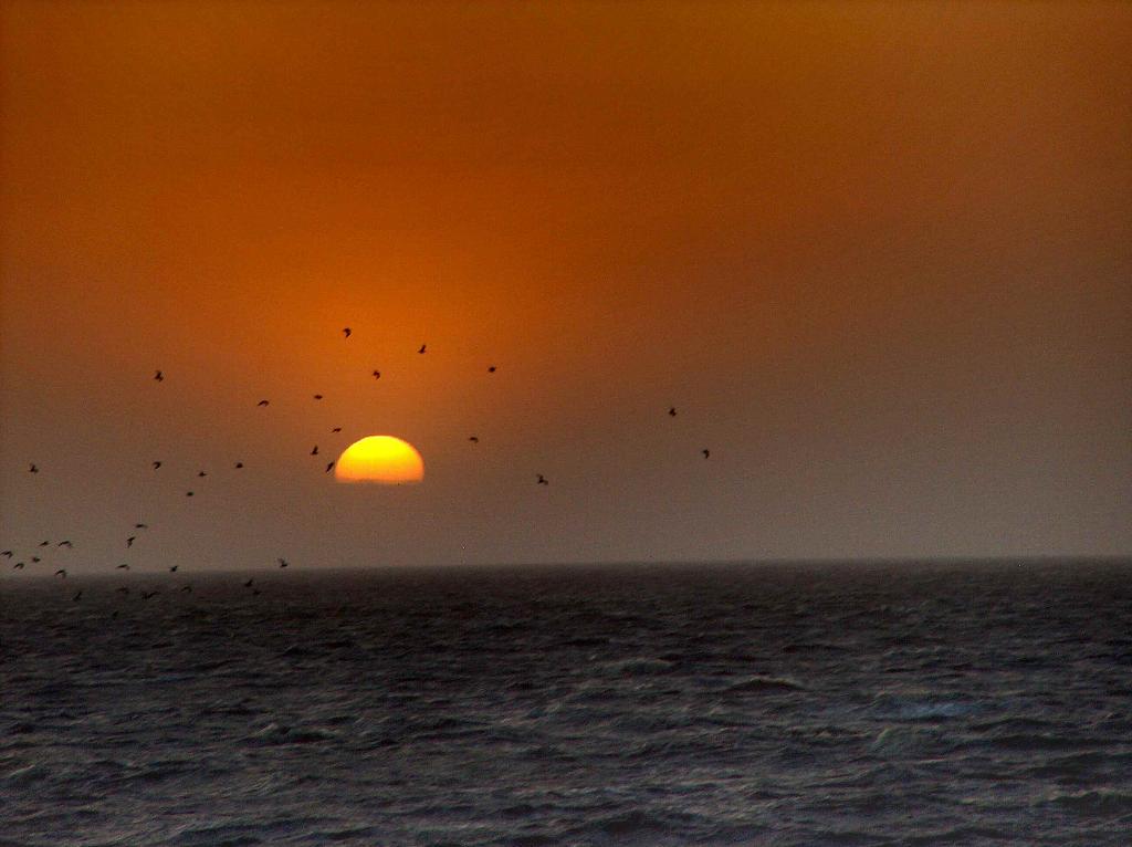 492.DAX Tipp-Spiel, Donnerstag, 15.03.07 87727