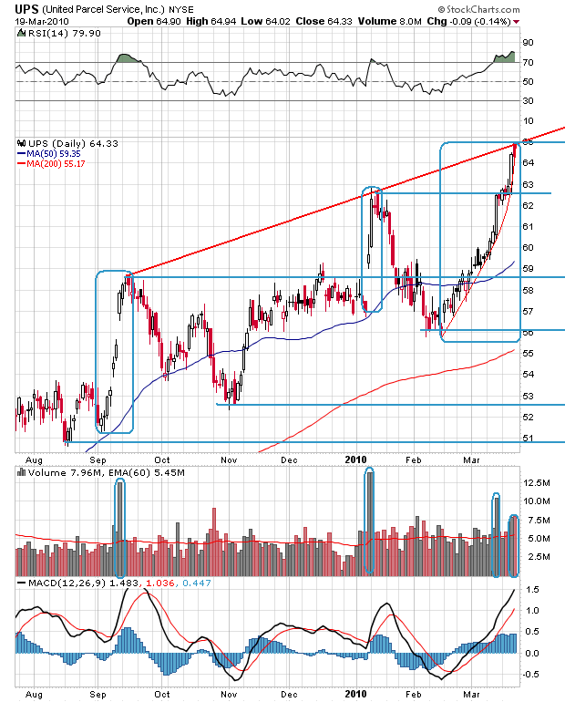 Der USA Bären-Thread 308060